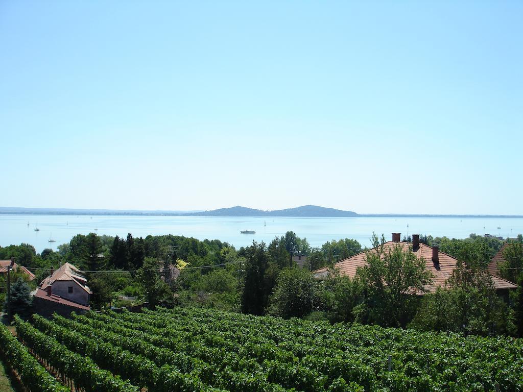 Bacchus Apartman - Borbarlang, Badacsony Badacsonytomaj Δωμάτιο φωτογραφία